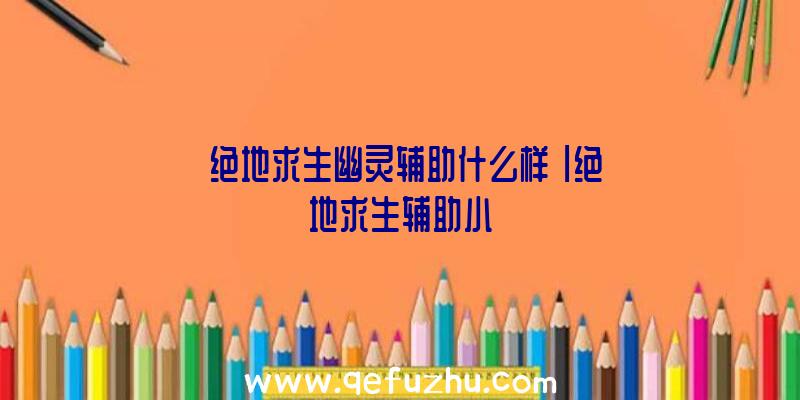 「绝地求生幽灵辅助什么样」|绝地求生辅助小